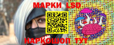 винт Сланцы