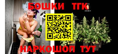винт Сланцы