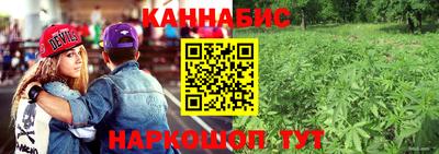 винт Сланцы